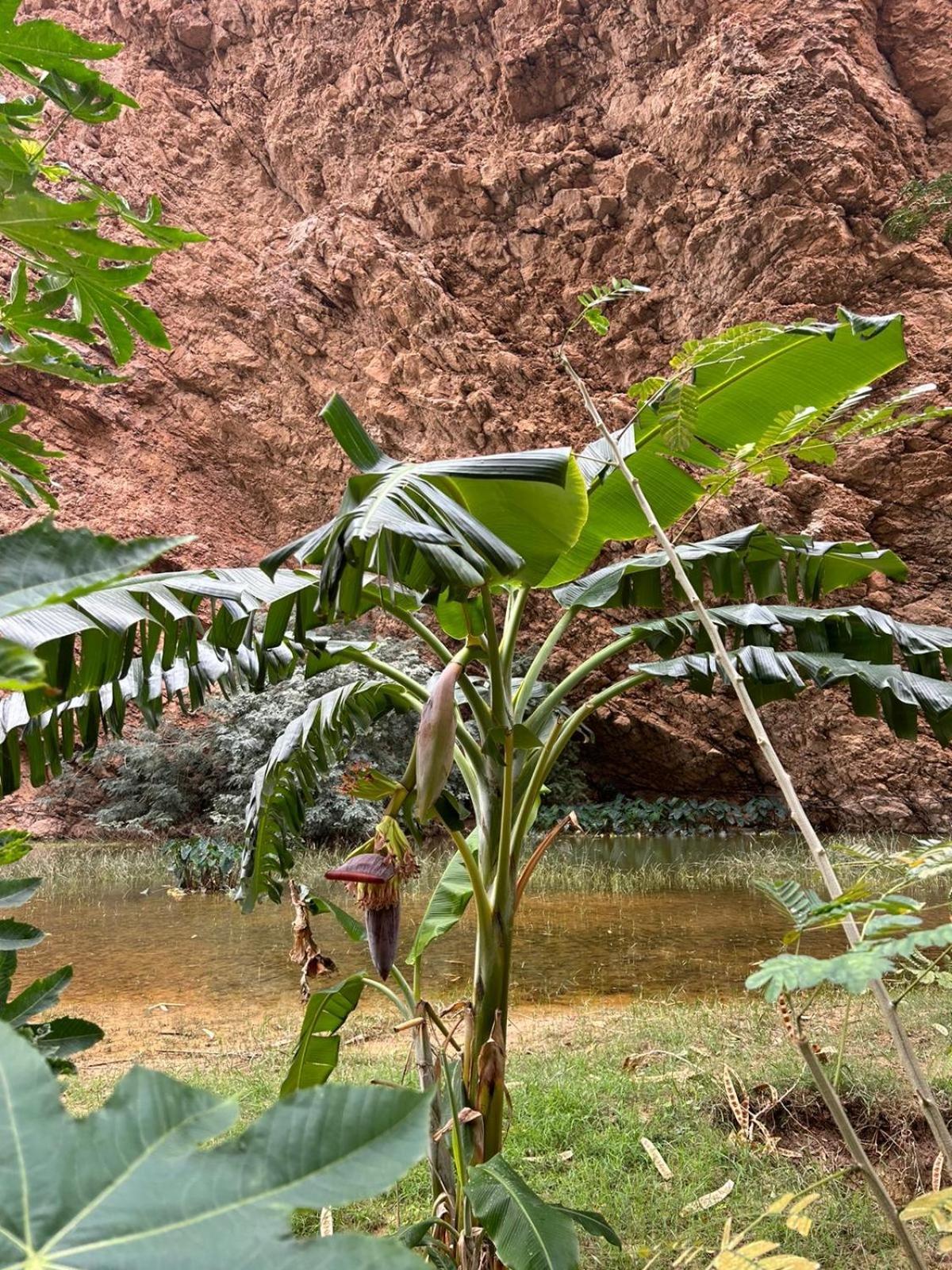 Atlas Wadi Shab Сур Экстерьер фото